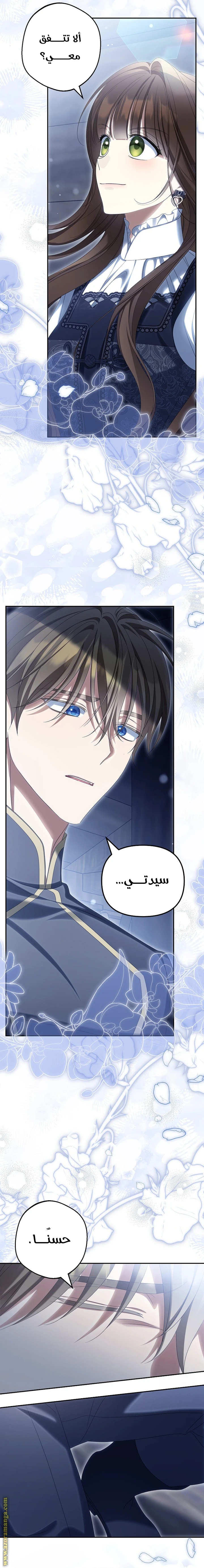 الصفحة 26