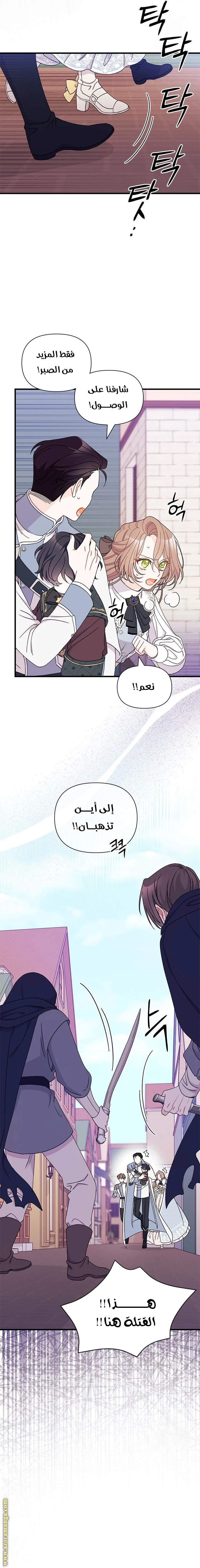 الصفحة 14
