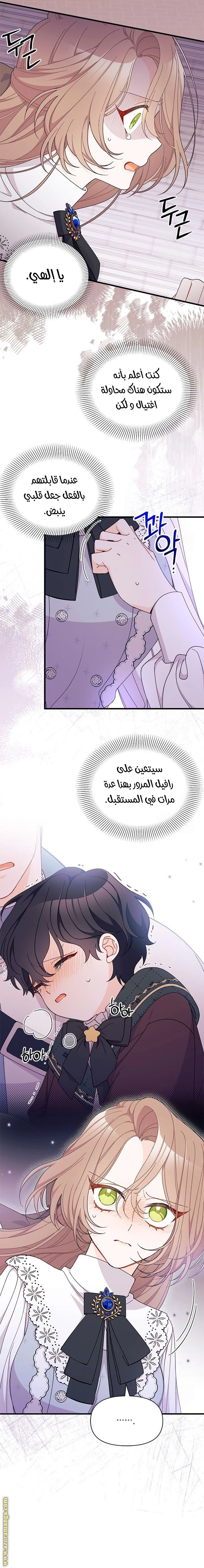 الصفحة 17