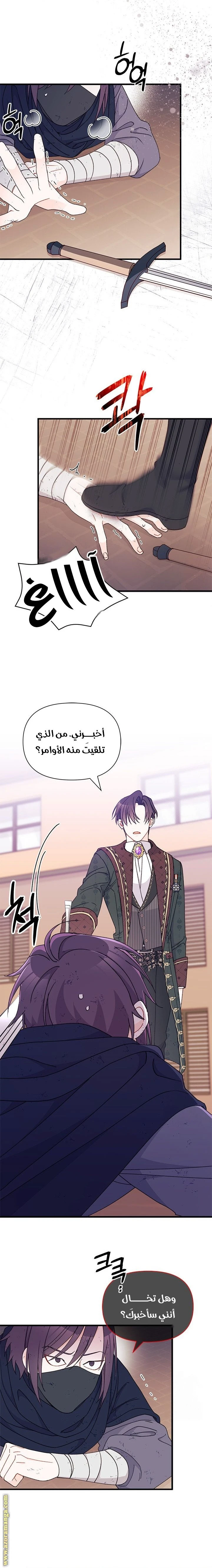الصفحة 19