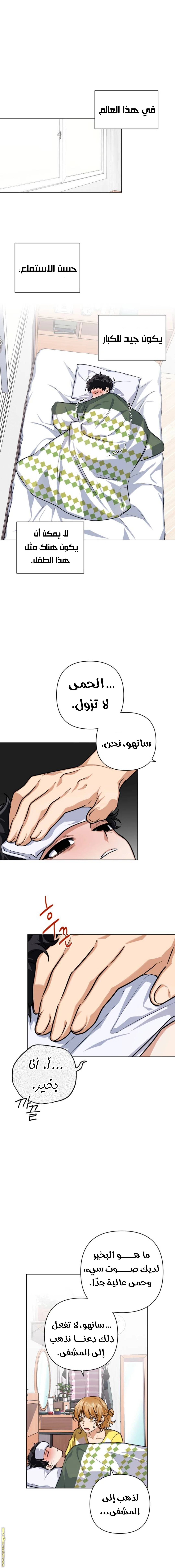 الصفحة 13