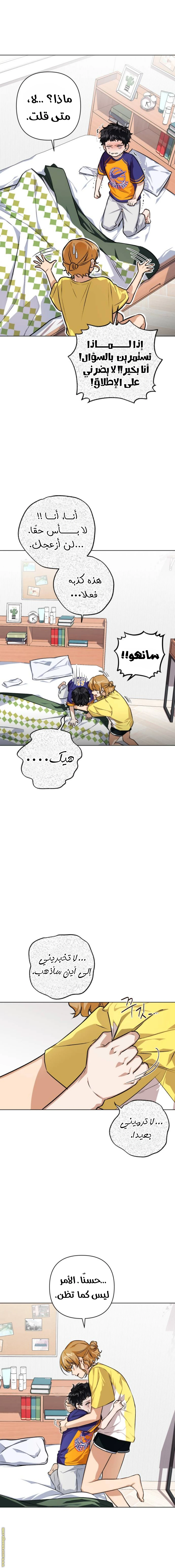 الصفحة 15