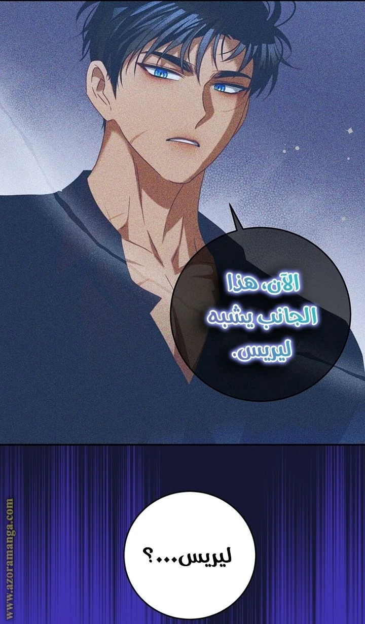 الصفحة 28