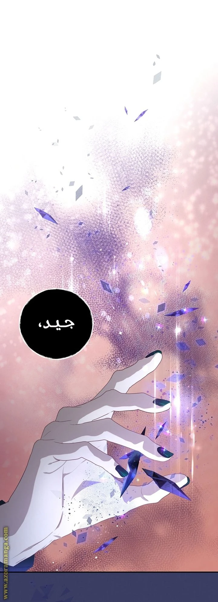 الصفحة 43