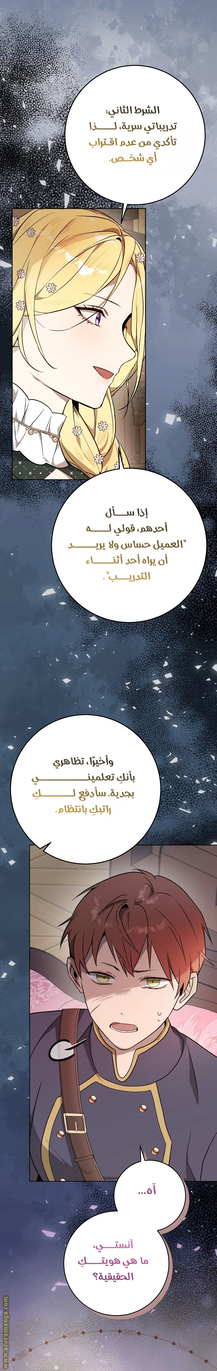 الصفحة 13