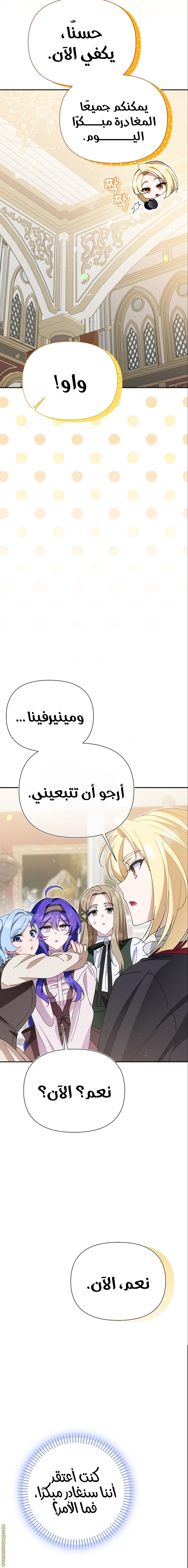 الصفحة 13
