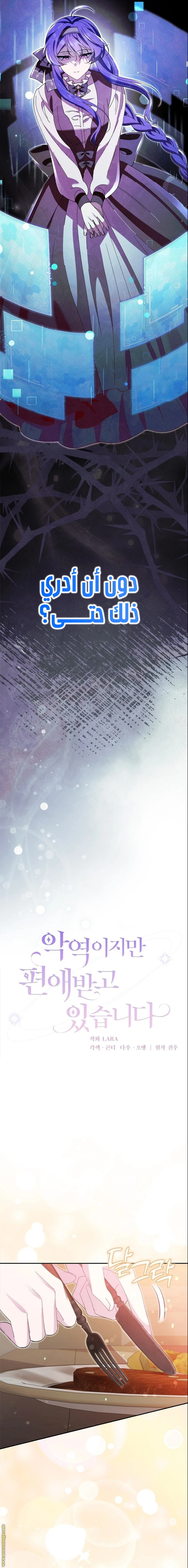 الصفحة 17