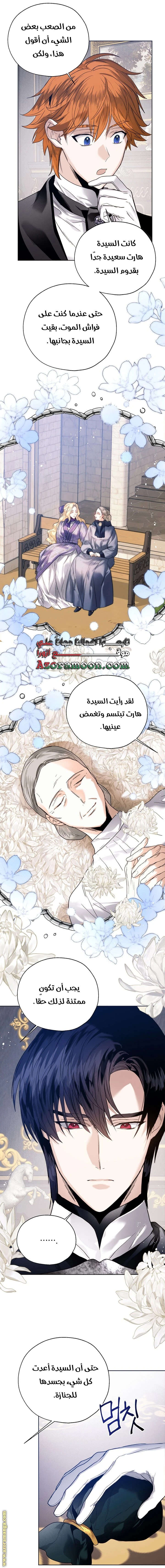 الصفحة 17