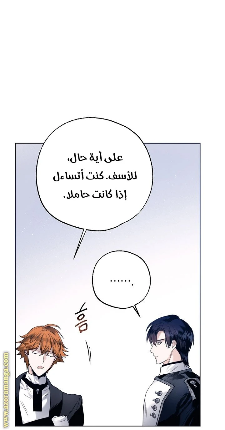 الصفحة 26