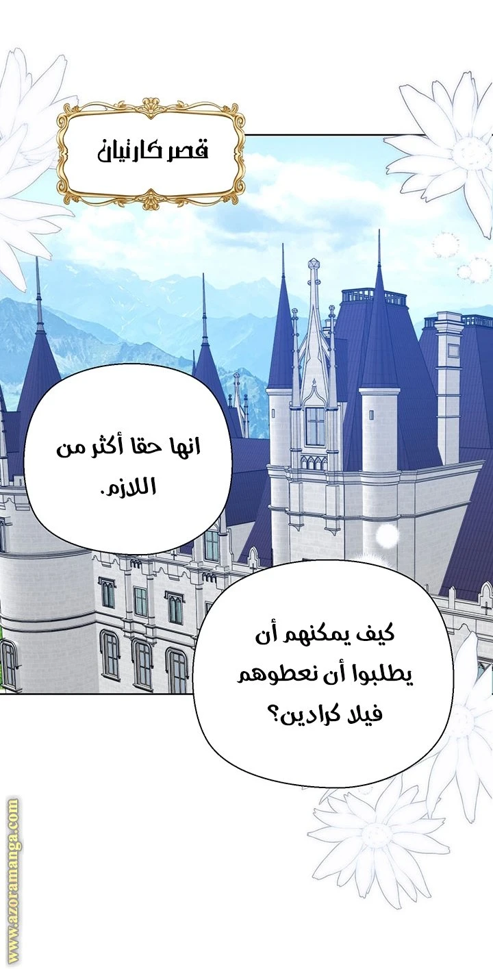 الصفحة 31