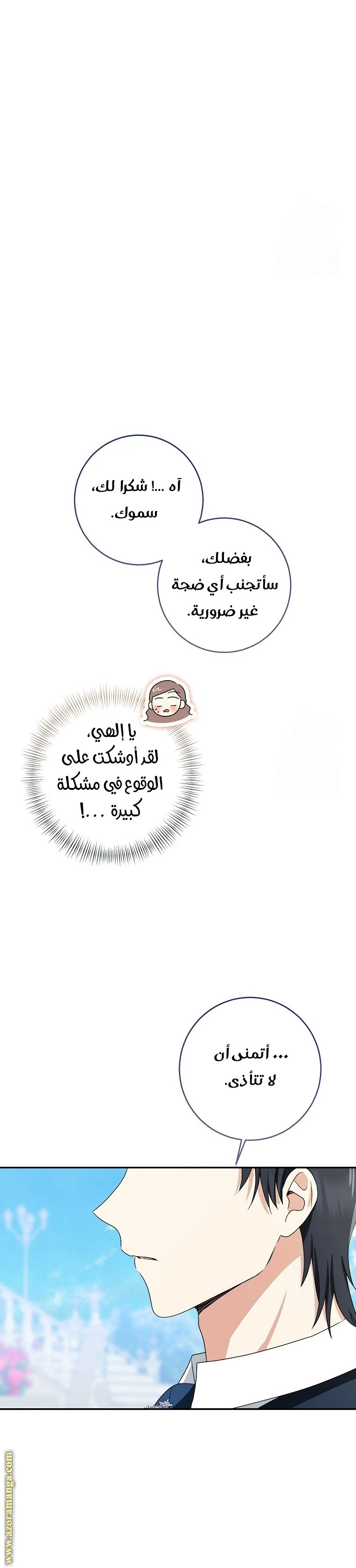 الصفحة 27