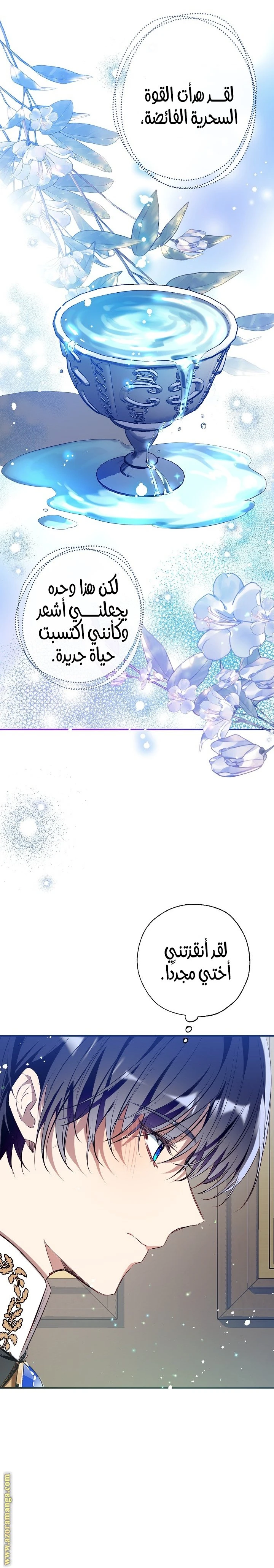 الصفحة 13