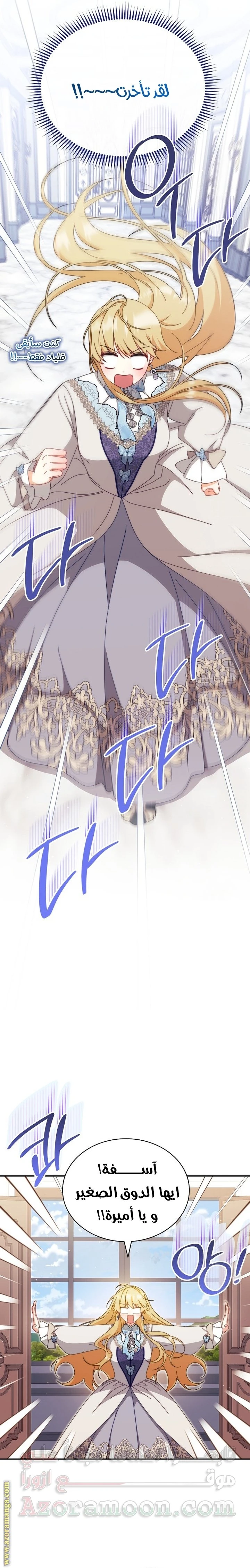 الصفحة 17