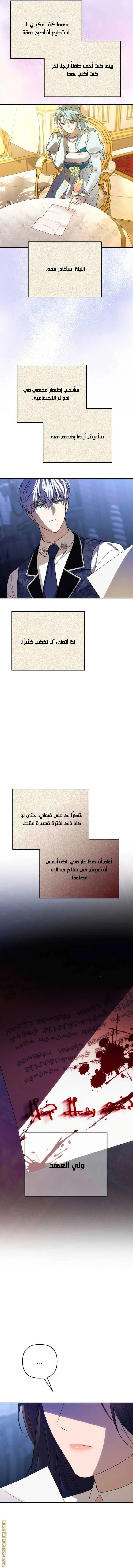 الصفحة 8