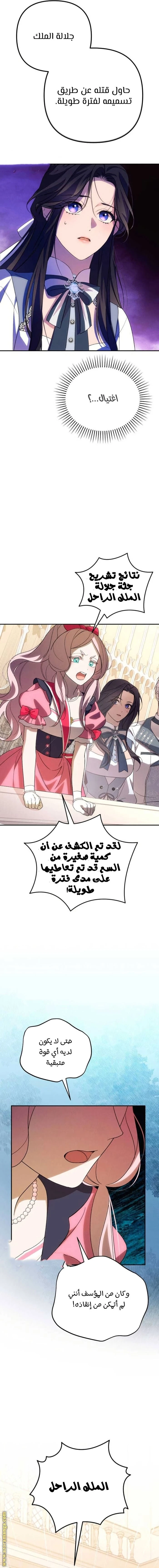 الصفحة 14