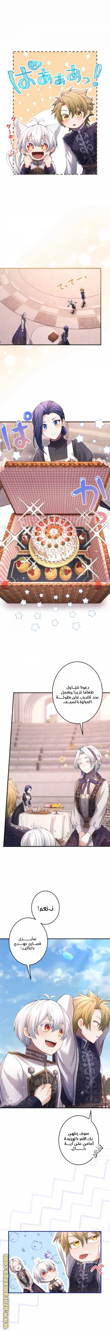 الصفحة 3