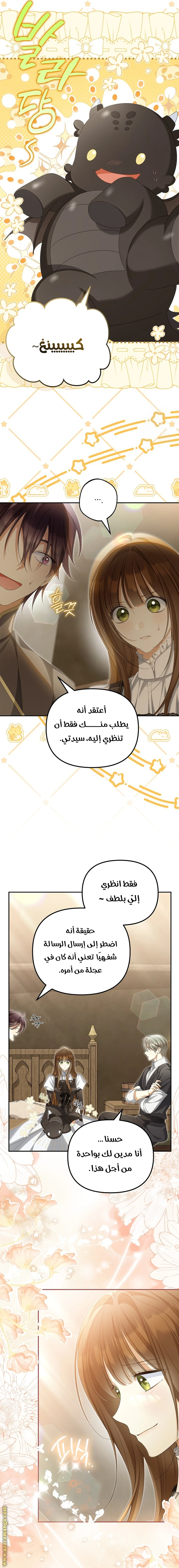 الصفحة 14