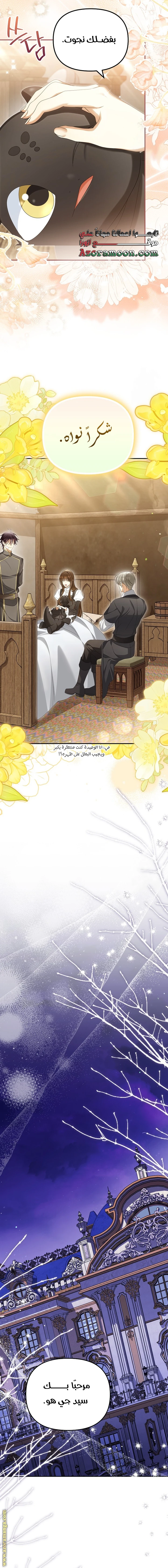 الصفحة 15