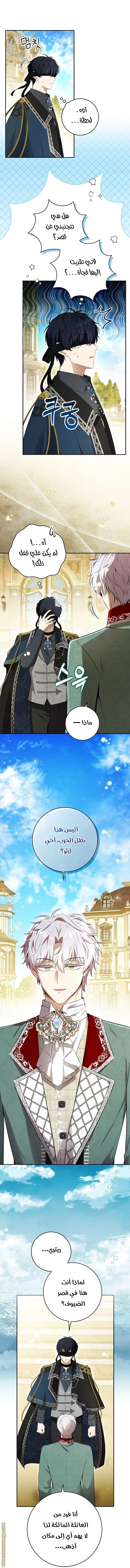 الصفحة 13