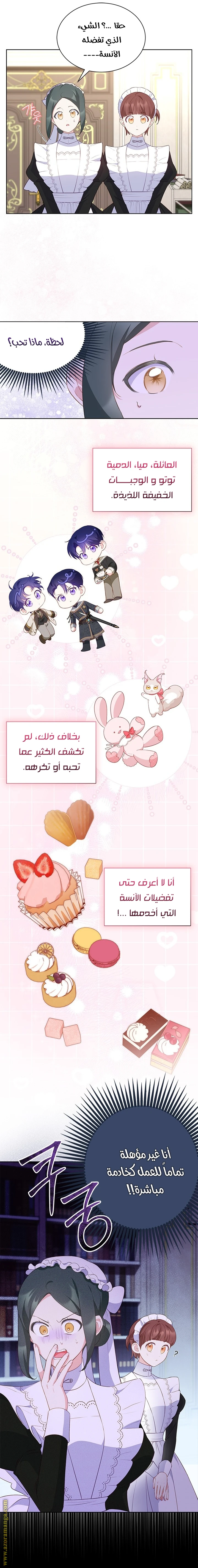 الصفحة 11