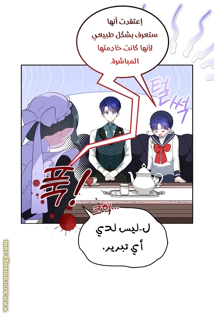 الصفحة 13