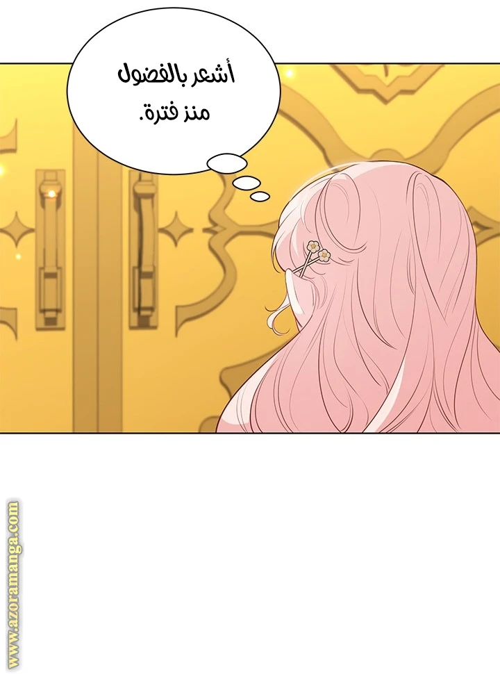 الصفحة 21