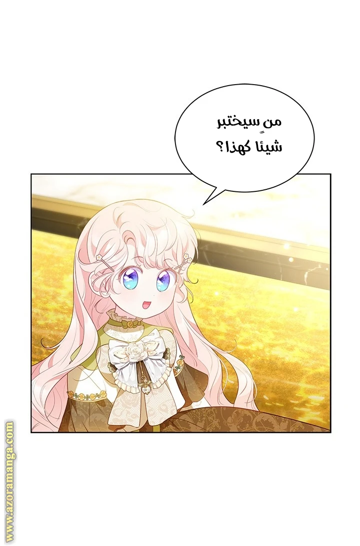 الصفحة 29
