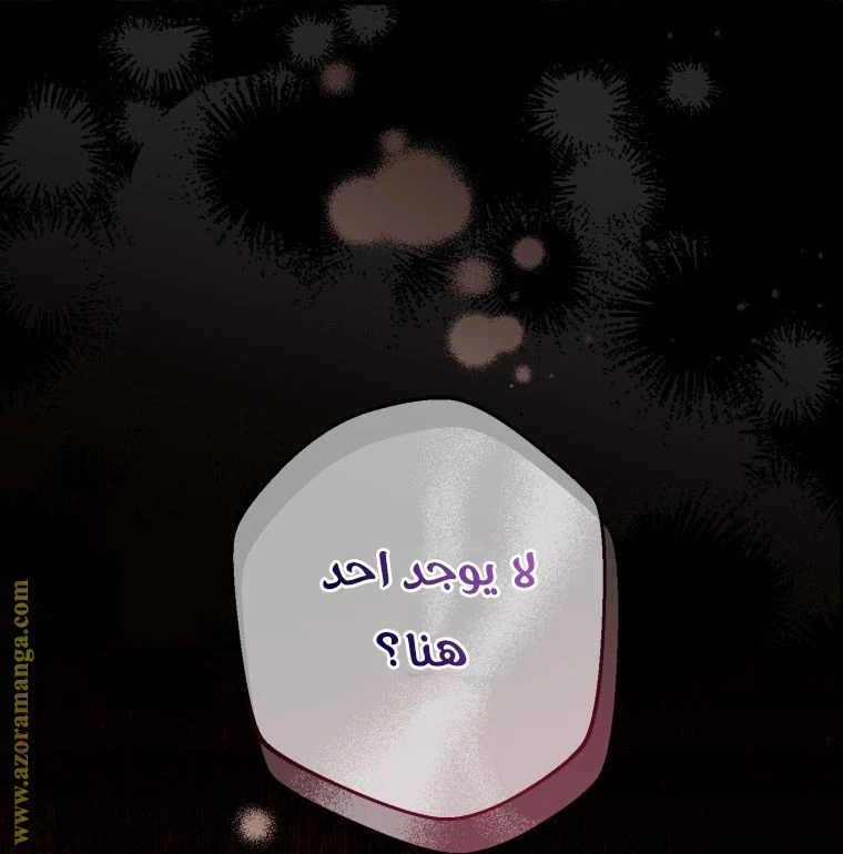 الصفحة 31