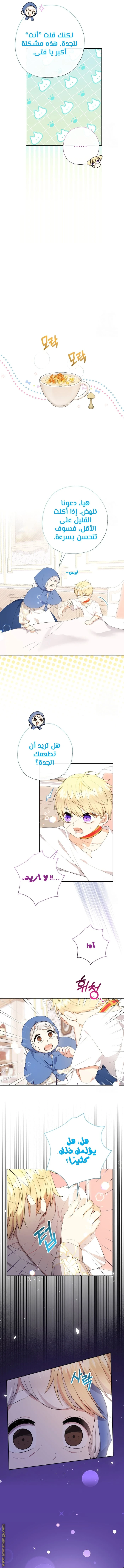 الصفحة 8