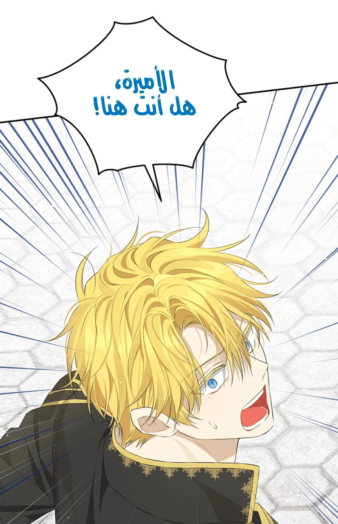الصفحة 62