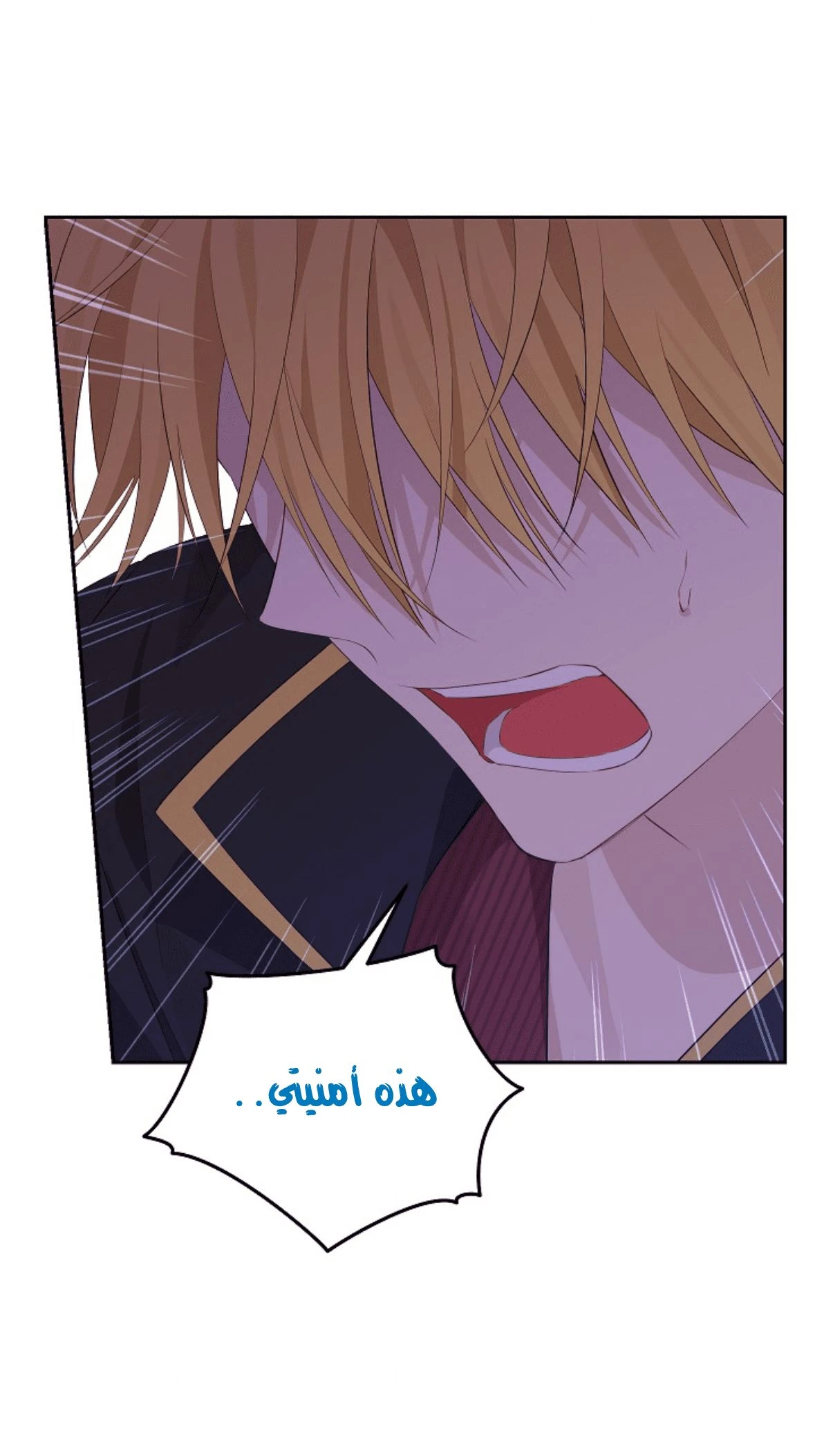 الصفحة 65