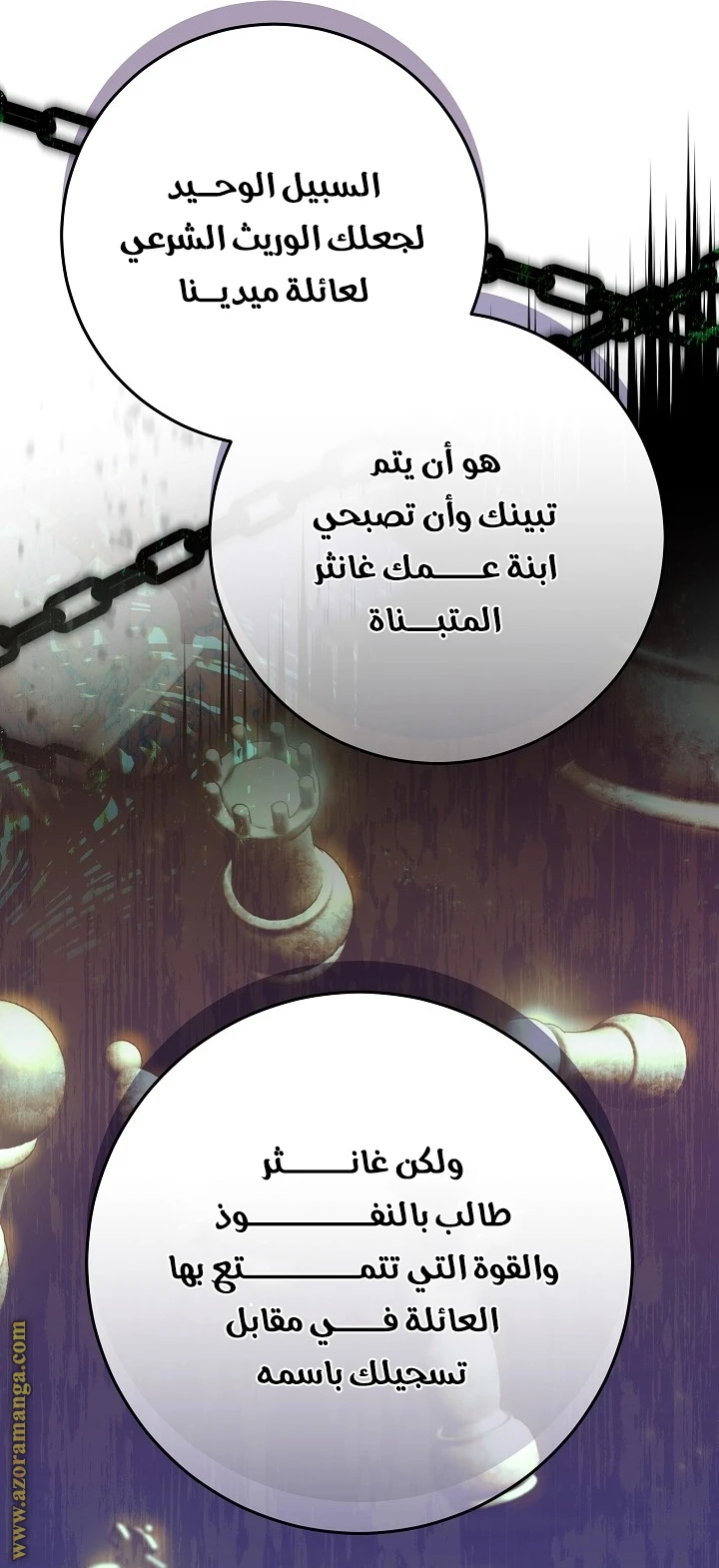 الصفحة 17