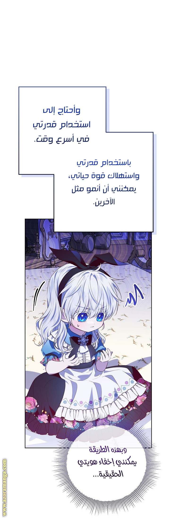 الصفحة 13