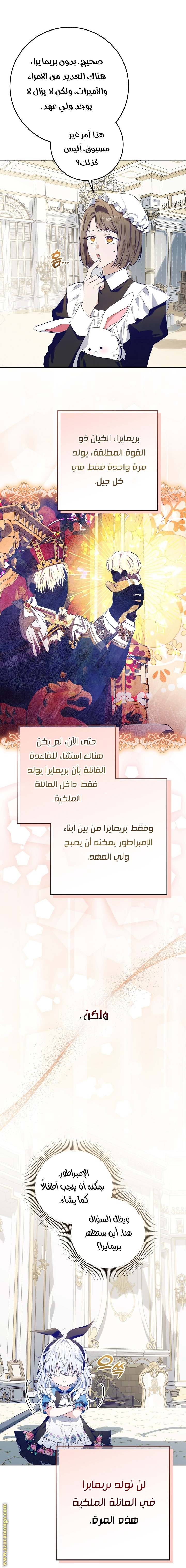 الصفحة 17
