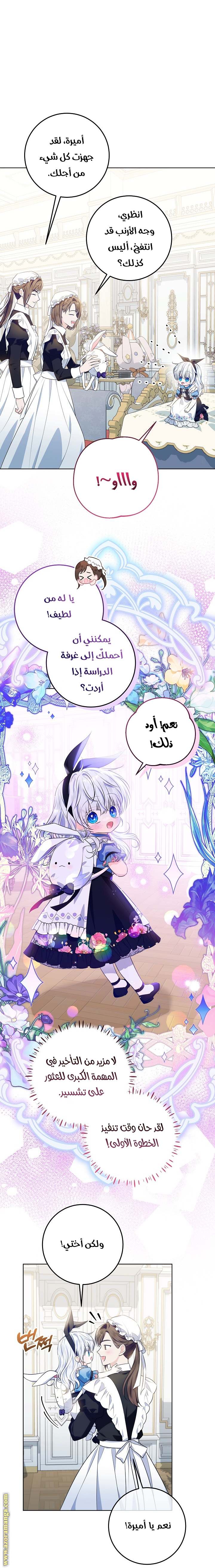 الصفحة 19