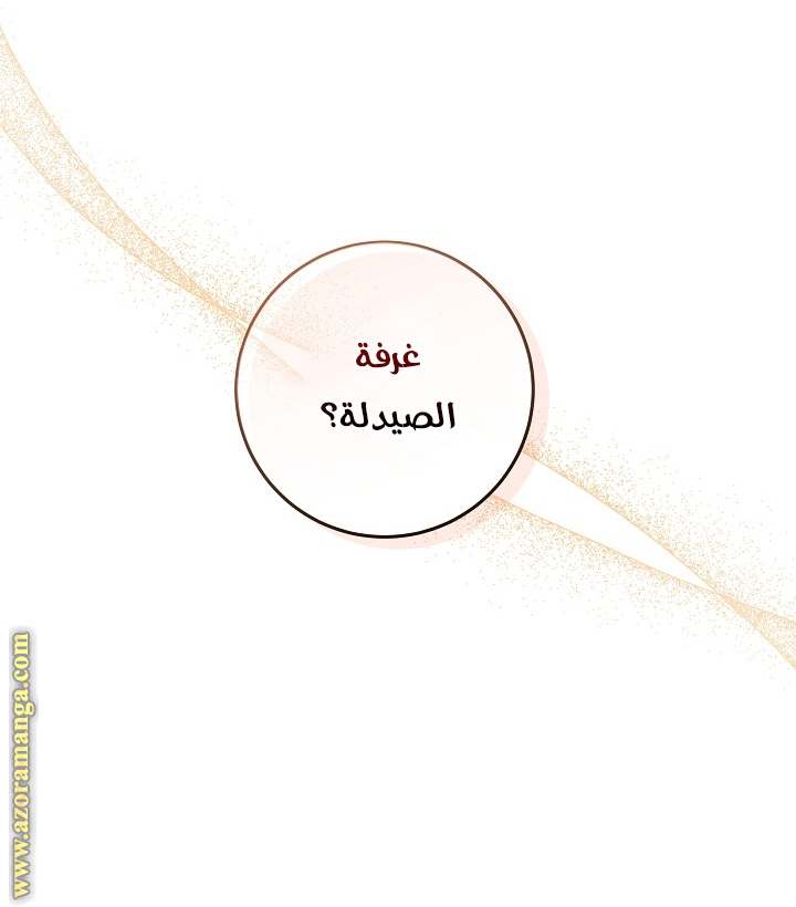 الصفحة 21