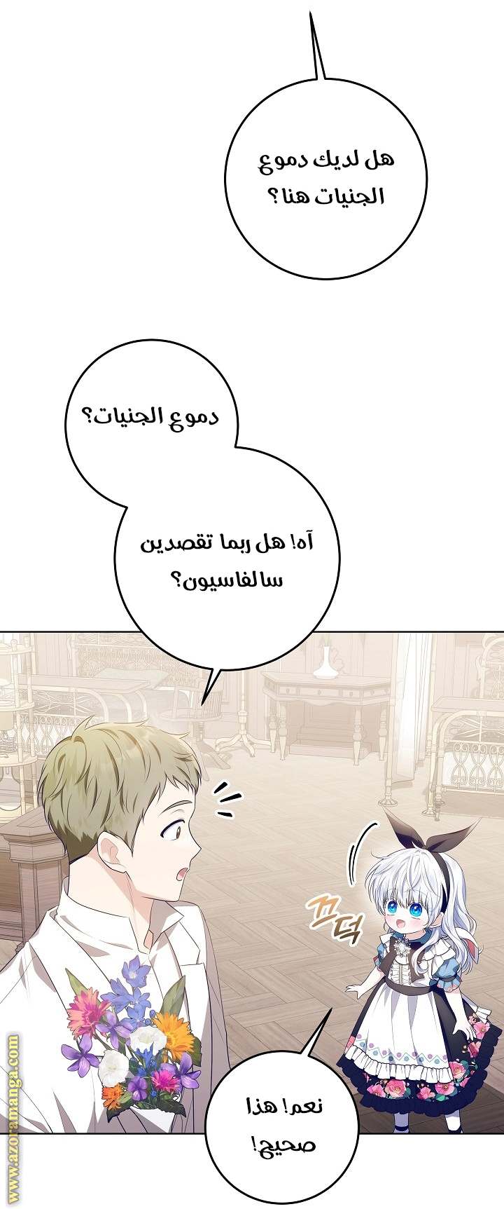 الصفحة 27