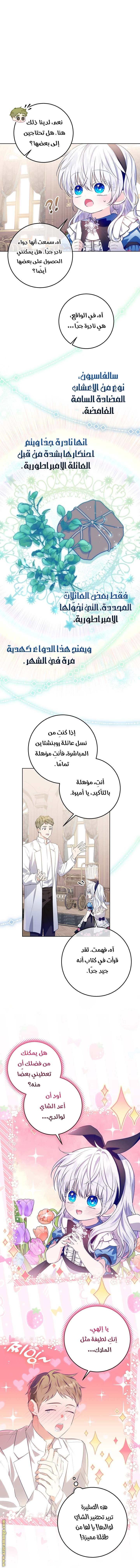 الصفحة 28