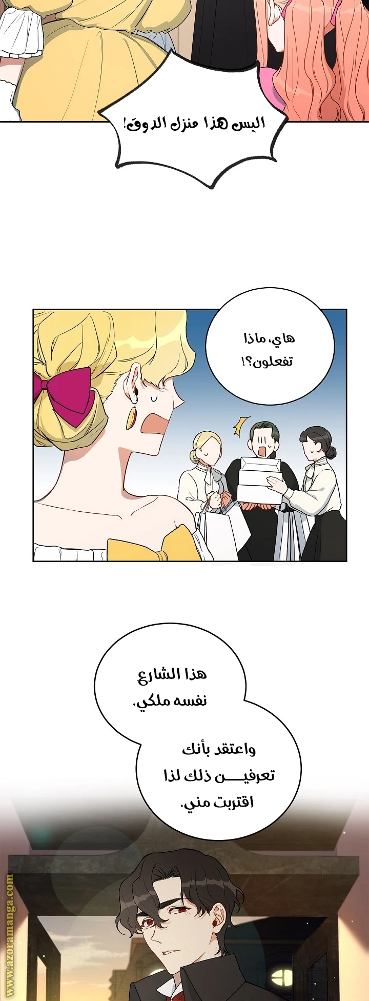 الصفحة 17