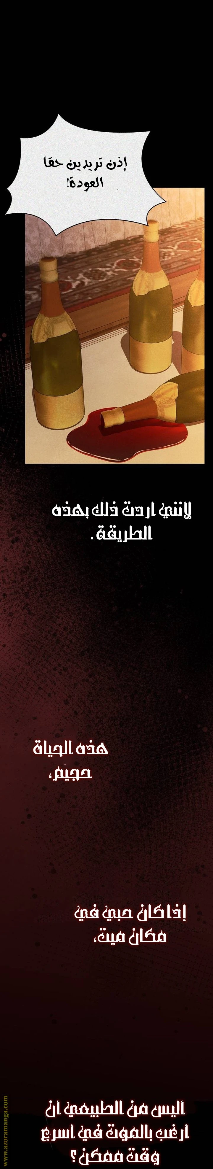 الصفحة 13