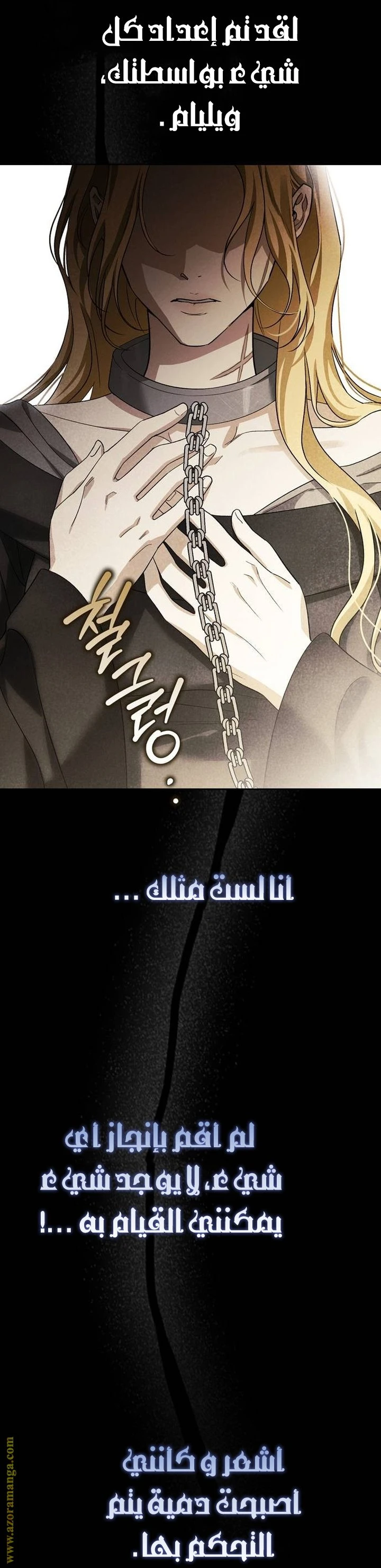 الصفحة 25