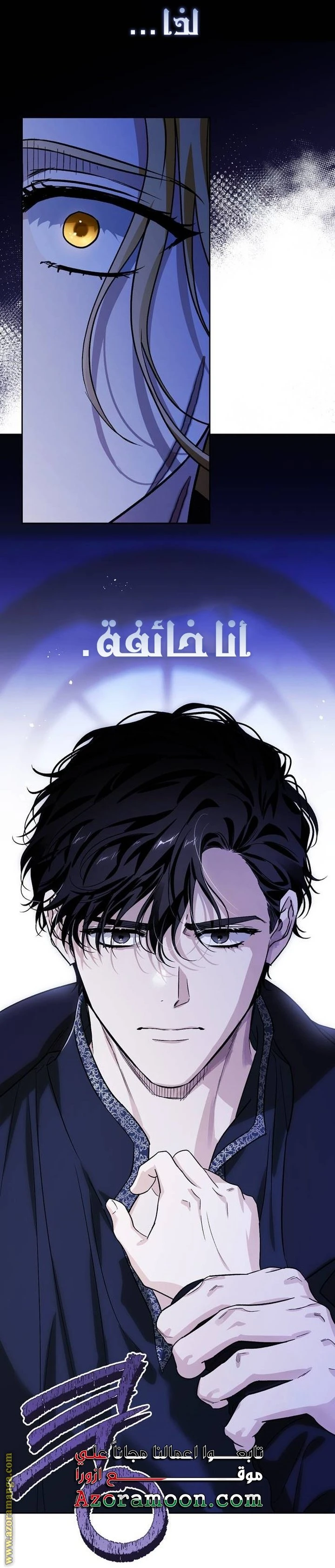 الصفحة 27