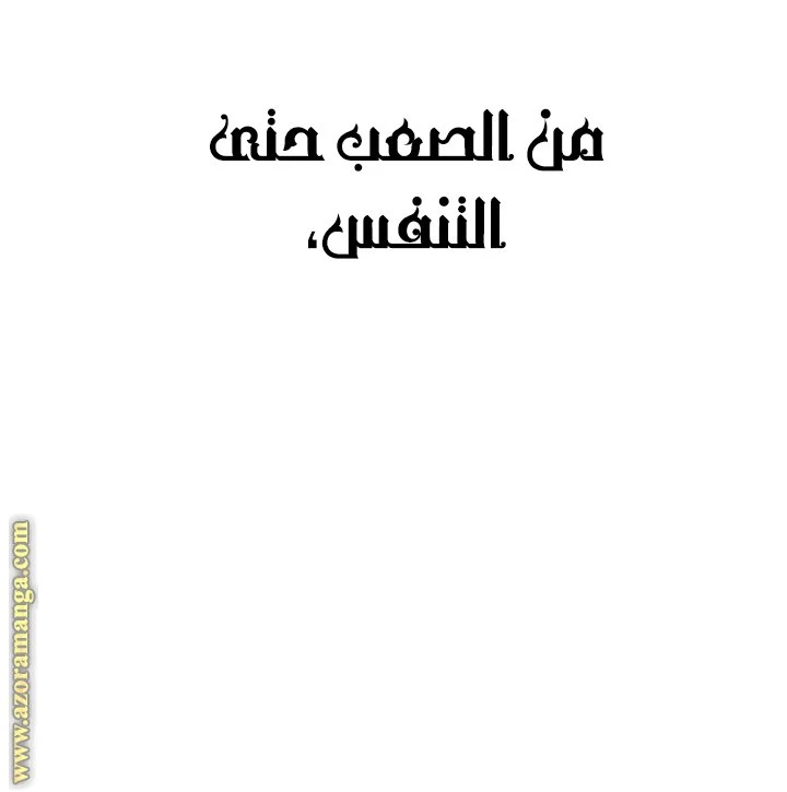الصفحة 44