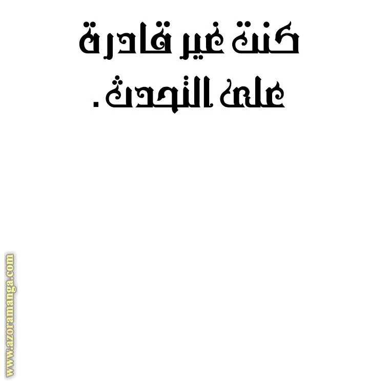 الصفحة 47