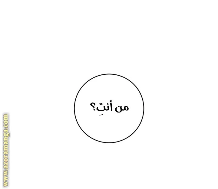 الصفحة 53