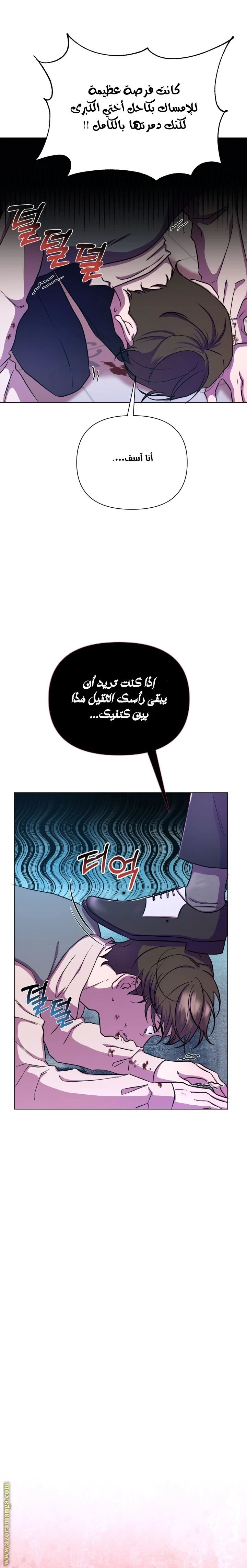 الصفحة 24
