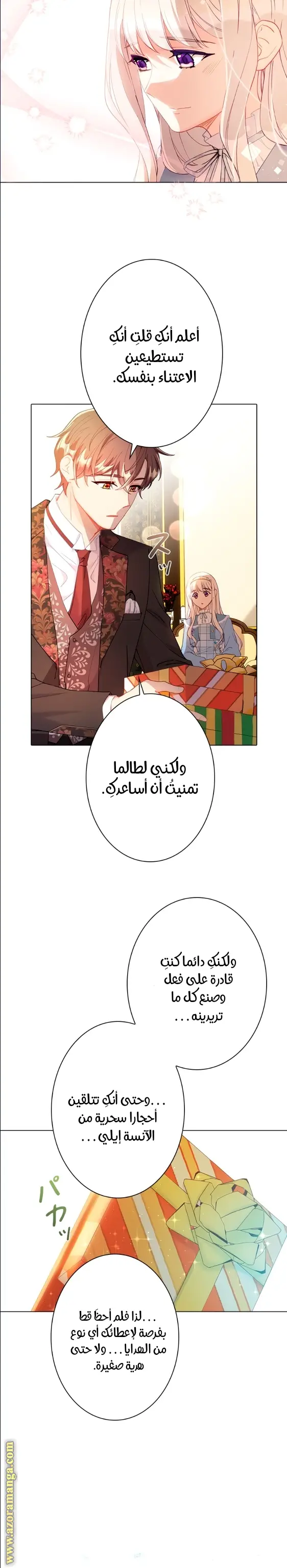 الصفحة 17
