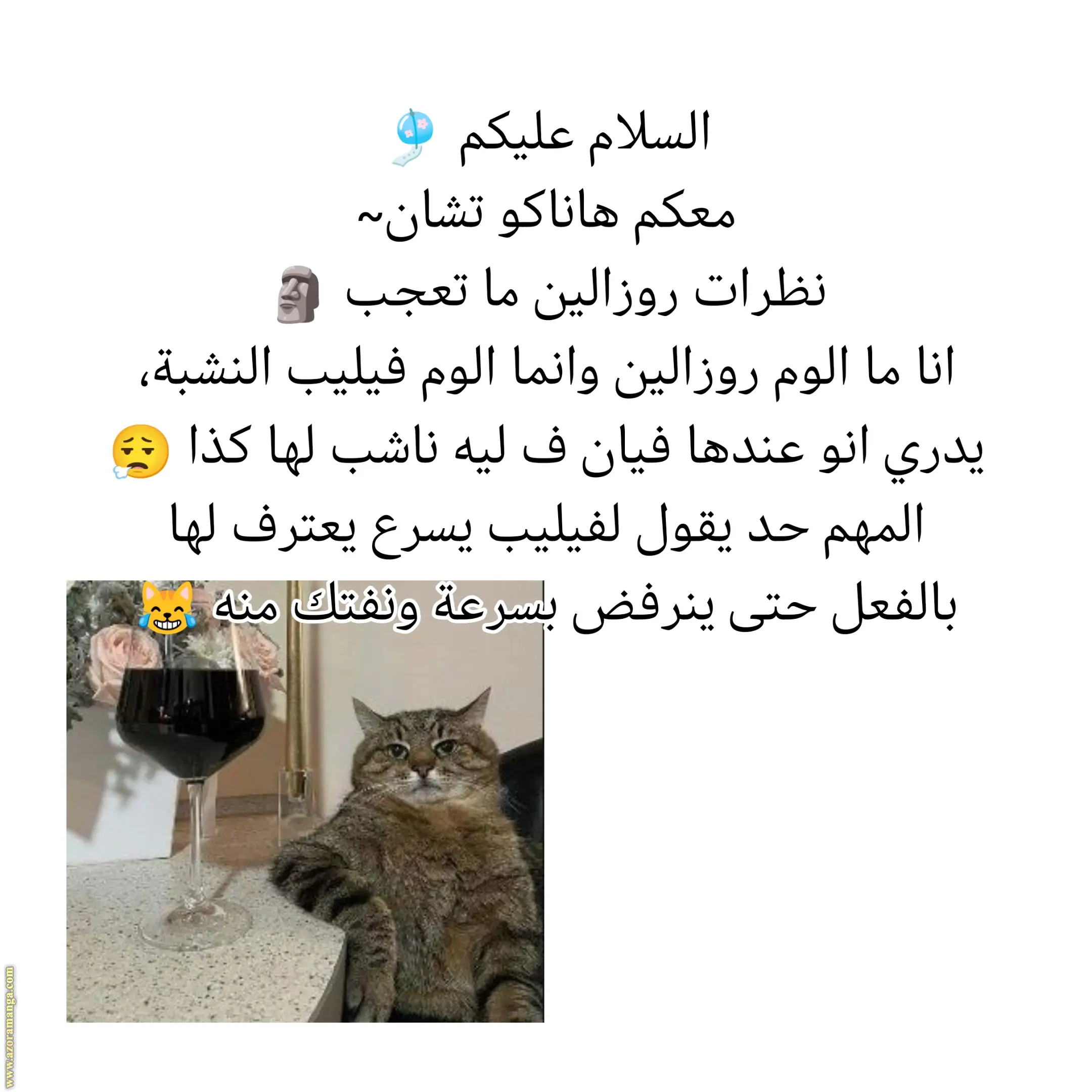 الصفحة 27