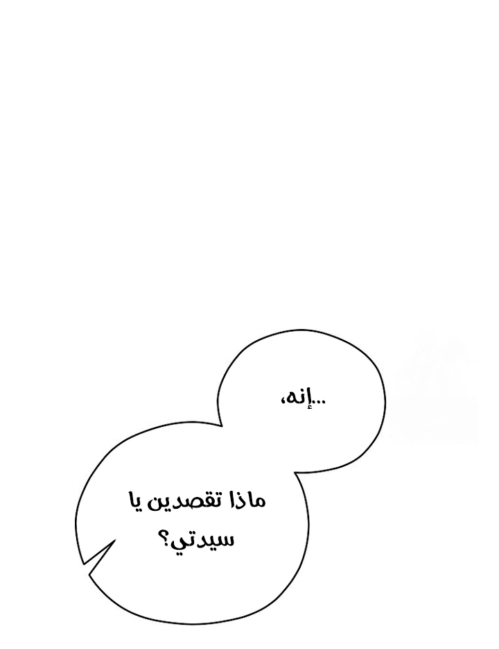 الصفحة 21