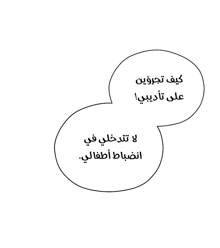 الصفحة 28